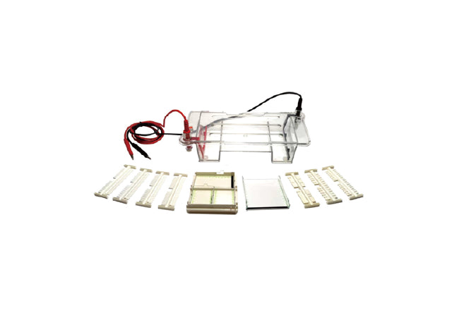 Horizontal Gel System HE-50